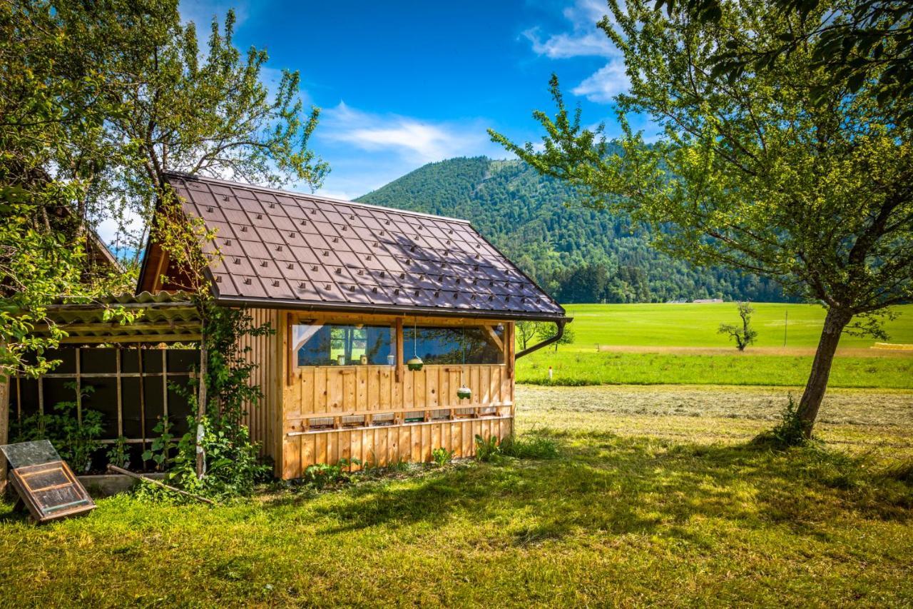 Biohof Untergrabenbauer Apartment Lidaun Bagian luar foto